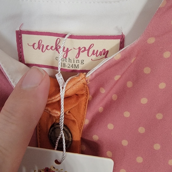 NWT Cheeky Plum Harvest Bloom Cora Set Outfit 18-24M - Picture 3 of 5